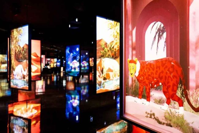 Barco powers newly opened Arte Museum Dubai