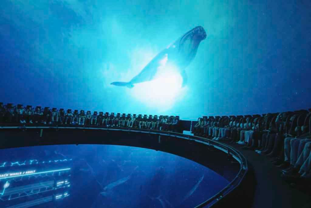 Dive Into Virtual Oceans At SeaWorld Abu Dhabi