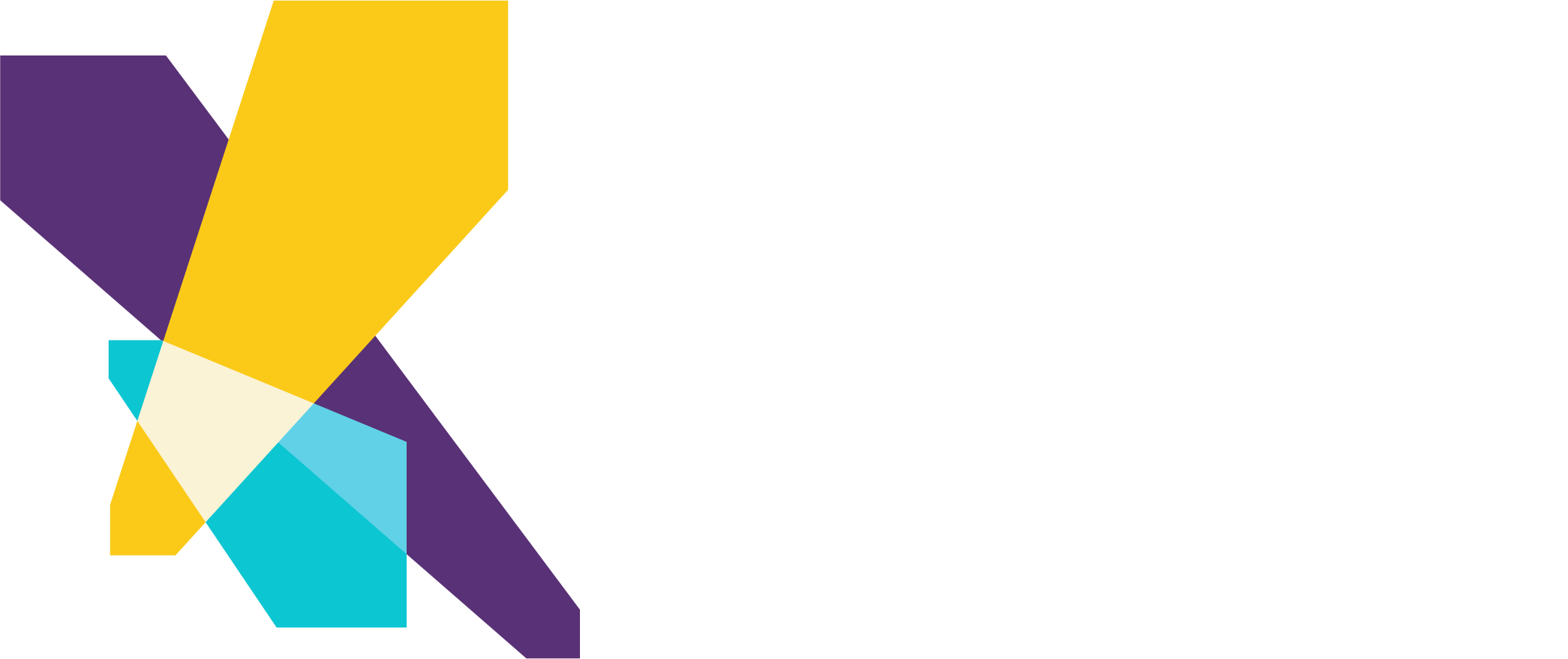 ISMExpertStage