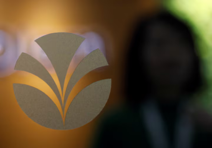 Saudi Arabia to Buy Control of Olam's Agribusiness for $1.8 billion; Shares Jump