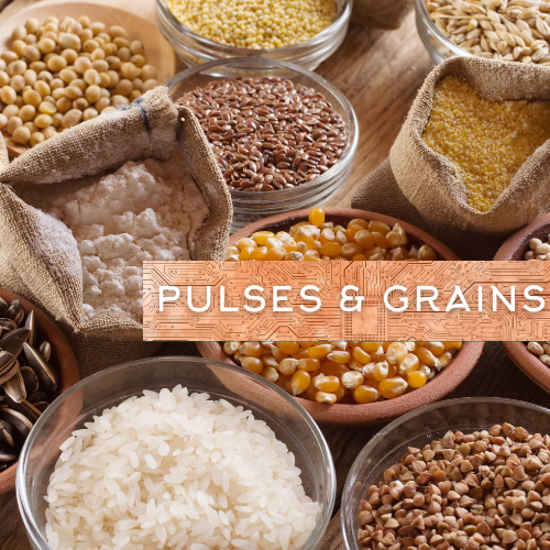 Pulses & Grains
