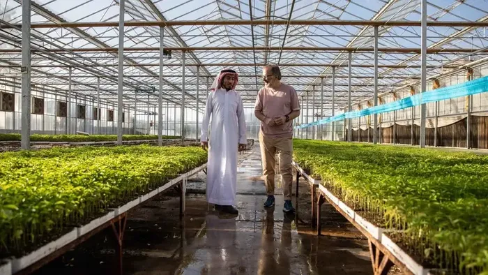 Saudi’s NEOM unveils plan to train chefs for 'world's most food self-sufficient city'
