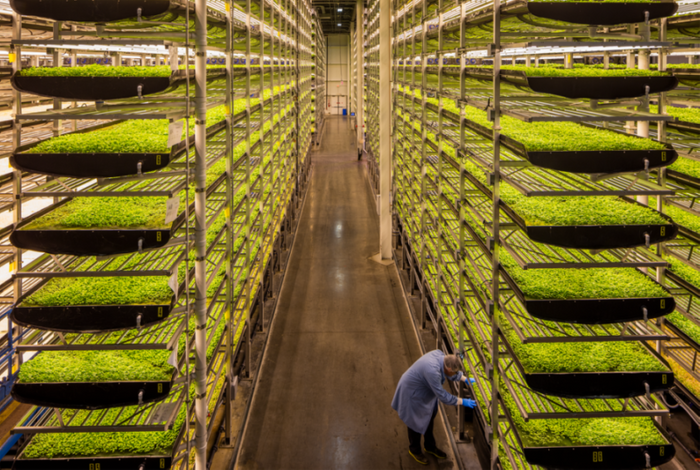 Saudi’s PIF partners with AeroFarms to build indoor vertical farms across MENA