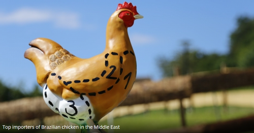 Top importers of Brazilian chicken in the Middle East