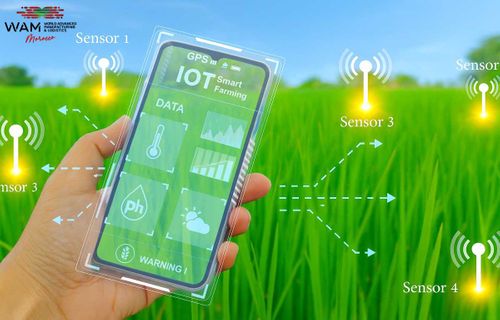 Smart Agriculture Trends in Morocco for 2026 and Beyond