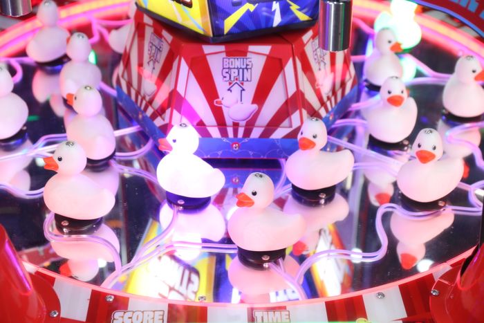 Quack King - 6 Player Hook a Duck