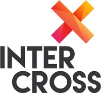 Company name - Intercross Technologies Ltd