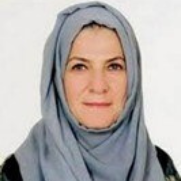 Arij Hamed Almutabagani