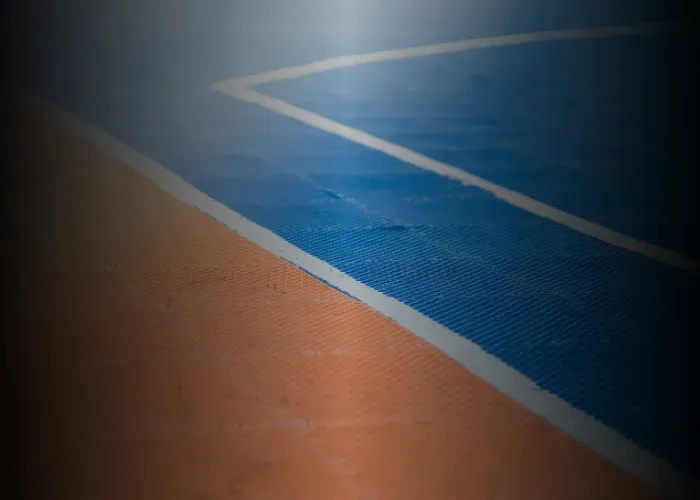 Synthetic Surfaces & Flooring