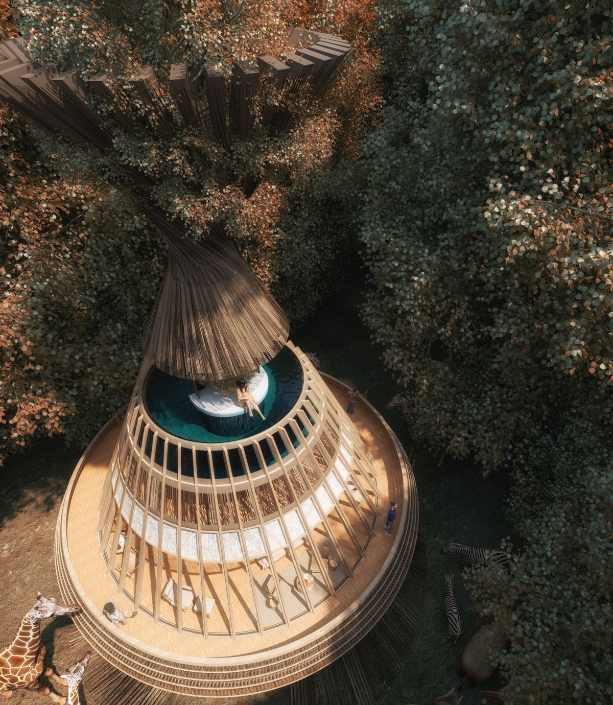MaskArchitects - BAOBAB Luxury Safari Resort