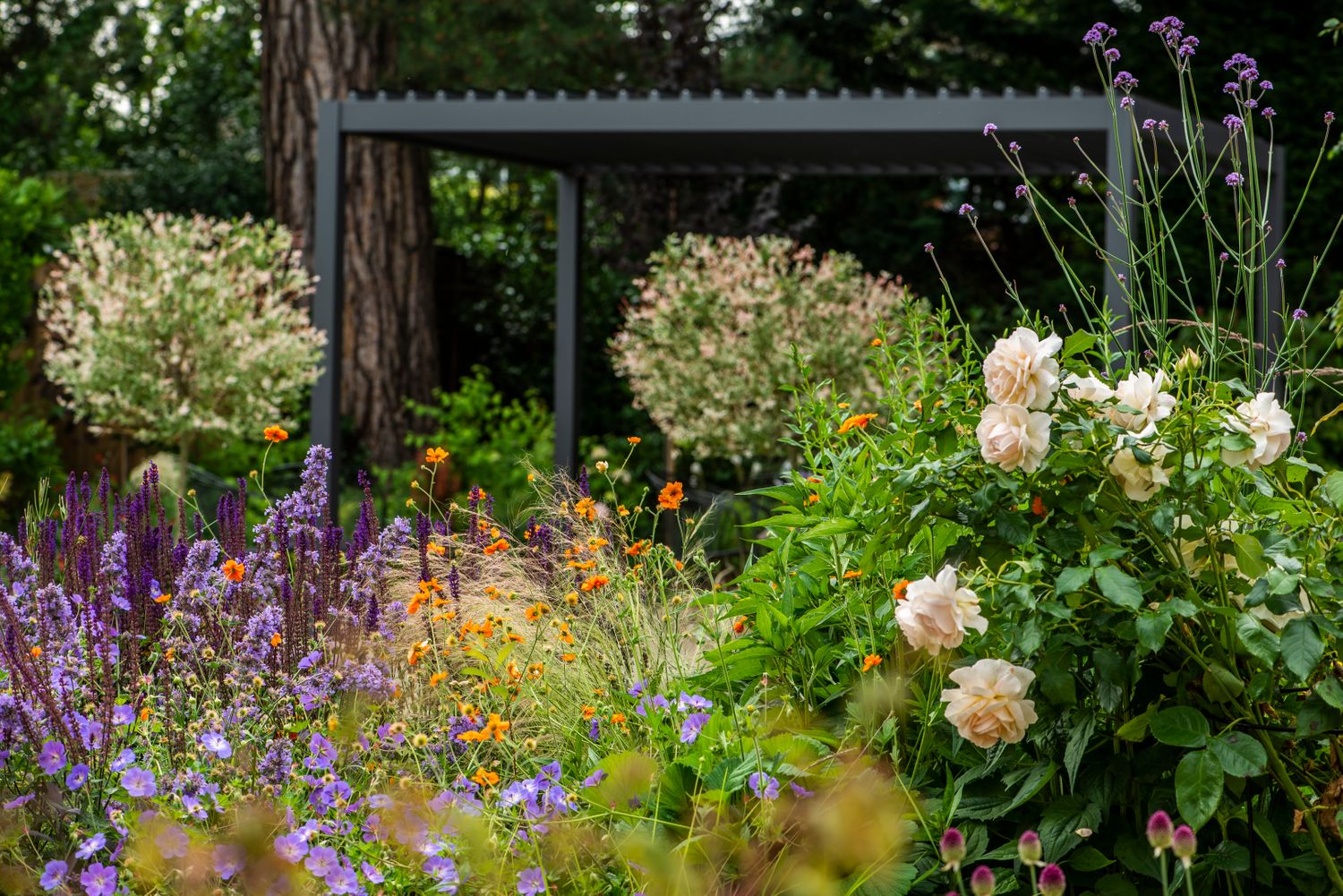 Kitti Kovacs Garden Design