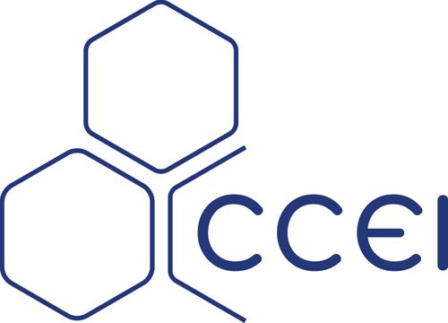 CCEI Pool Middle East