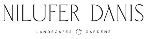Nilufer Danis