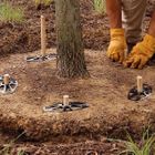 ArborStakes™​