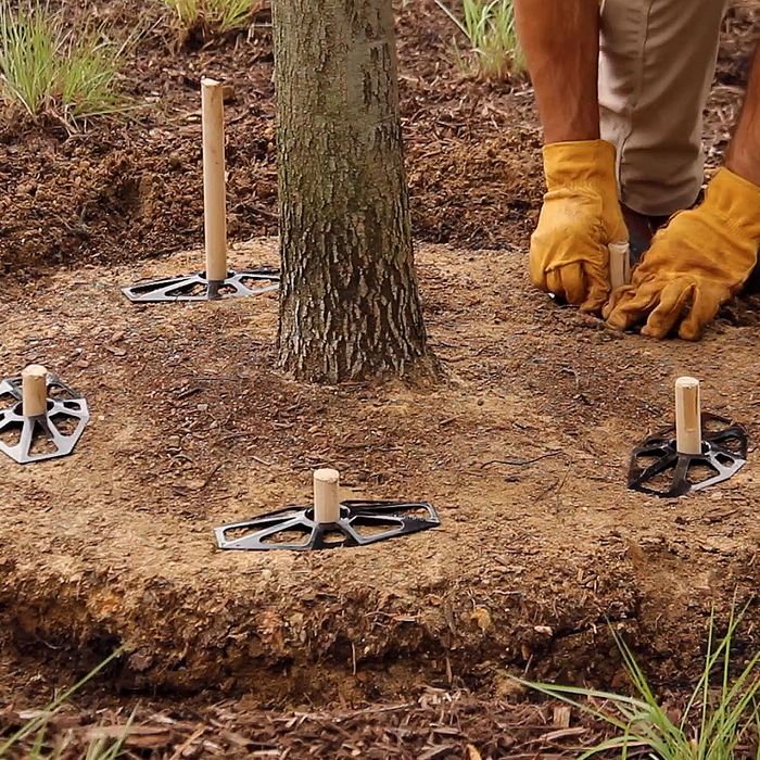ArborStakes™​