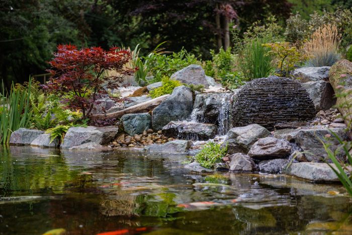 Natural Swim Lake - Chilterns, Oxfordshire, UK