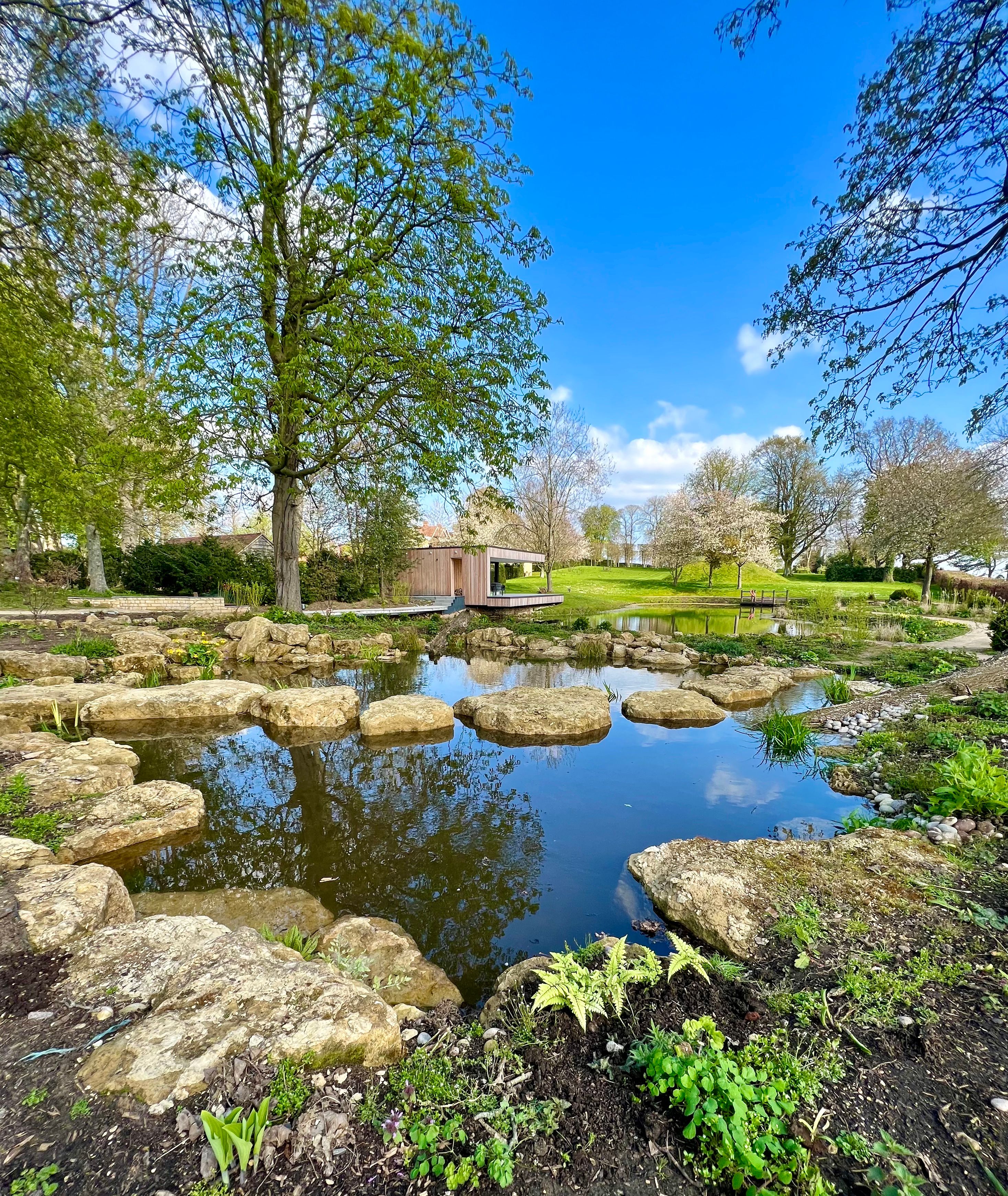 Natural Swim Lake - Chilterns, Oxfordshire, UK