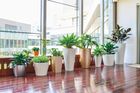 Vita Self-Watering Planters