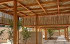 Engineered Timber Structures