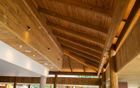 Timber Ceilings & Cladding
