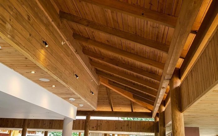Timber Ceilings & Cladding
