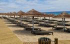 Thatch Tiles