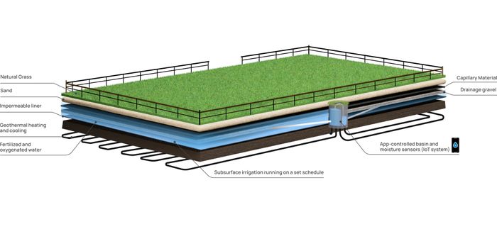 Equestrian Grass Arenas