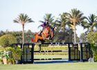 Equestrian Grass Arenas