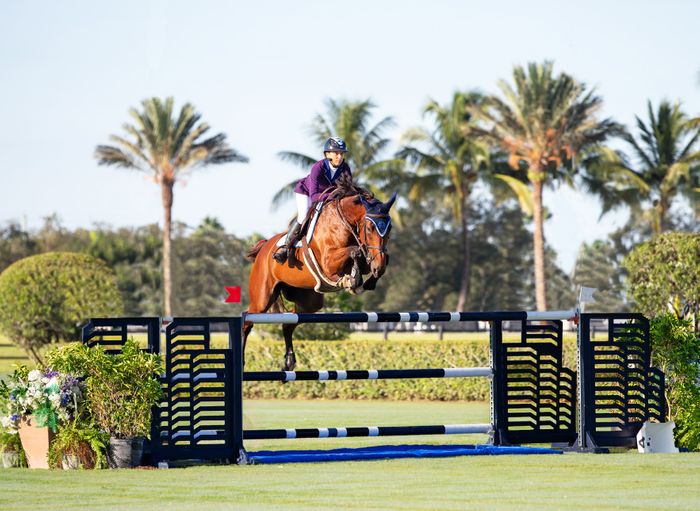 Equestrian Grass Arenas