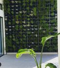 Green wall