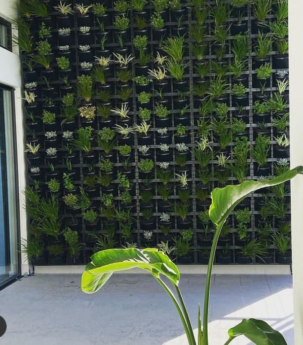 Green wall
