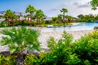  Pine landscaping Design