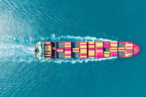 The Supply Chain Shake-Up: Why Sustainability is Now a Core Business Strategy