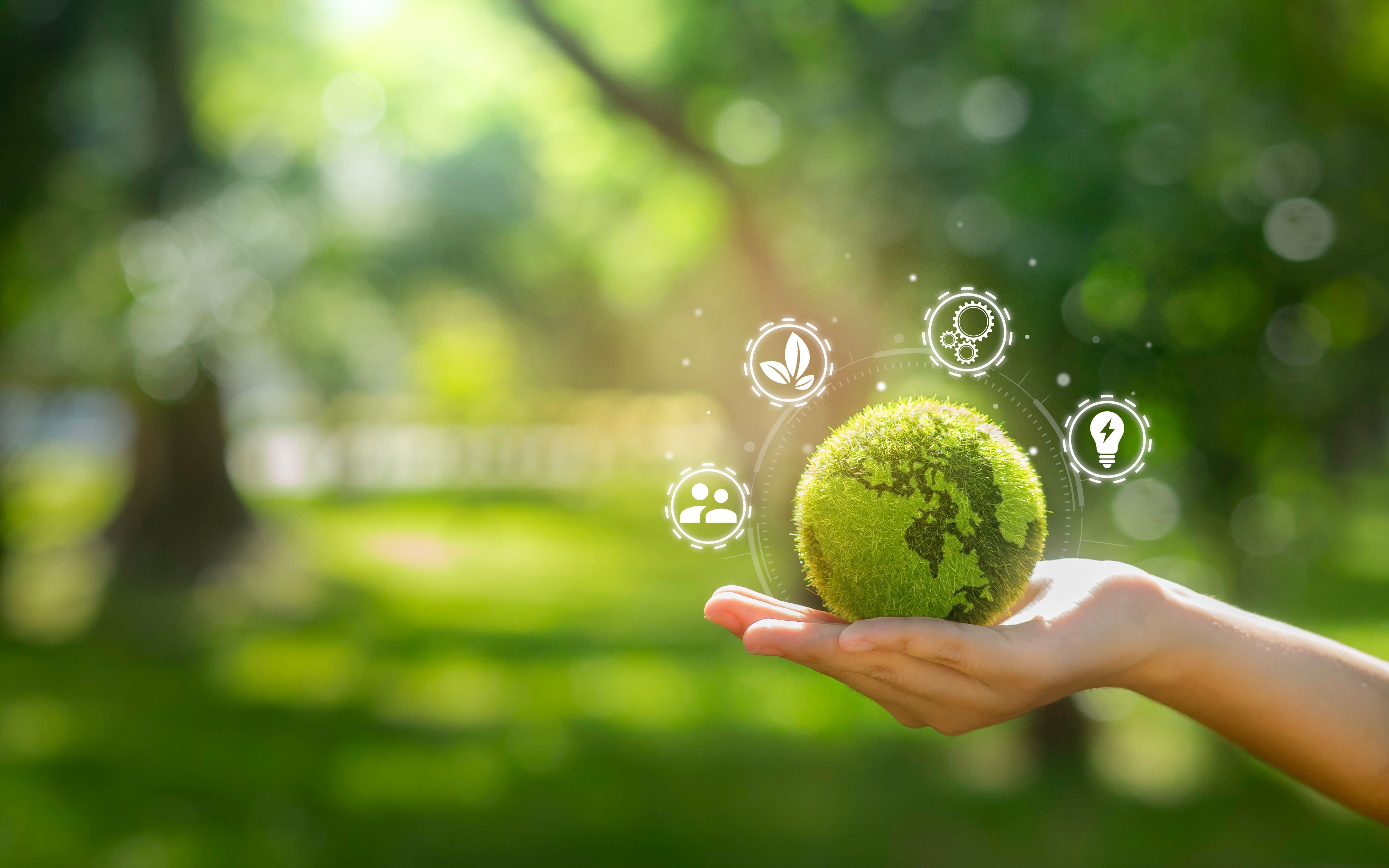 Shaping the Future of Green Industries