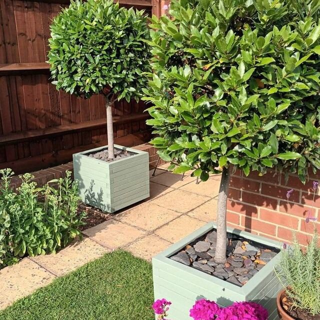 planters