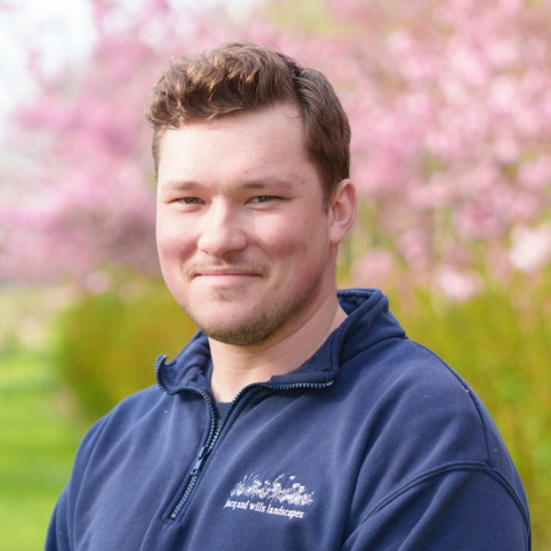 Reuben James - Jacq and Wills Landscapes