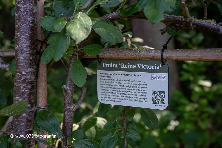 Plantbordjes.nl | Garden Signs