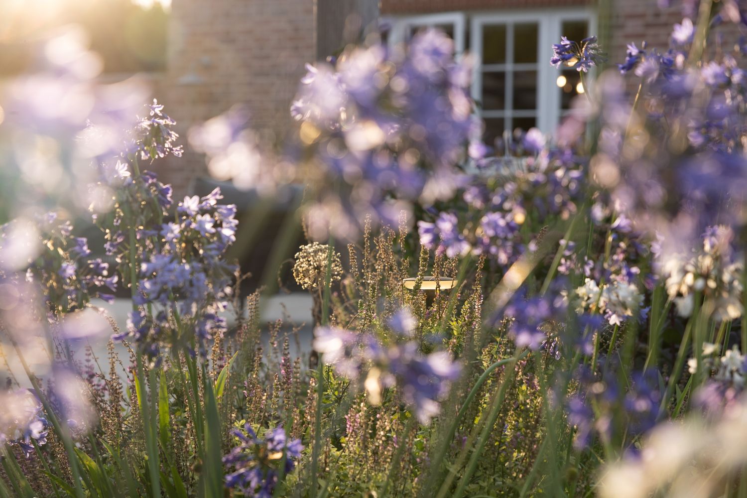 Landscapeplus