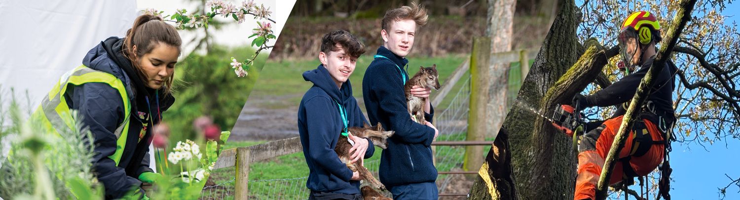 Merrist Wood College & University Centre – part of Activate Learning
