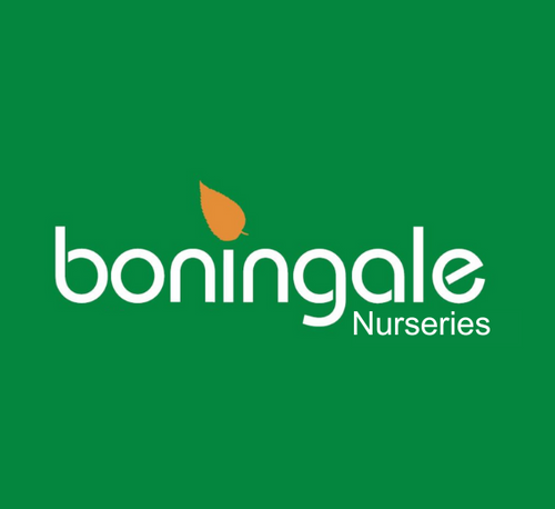 Boningale Ltd