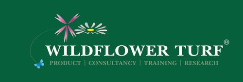 Wildflower Turf