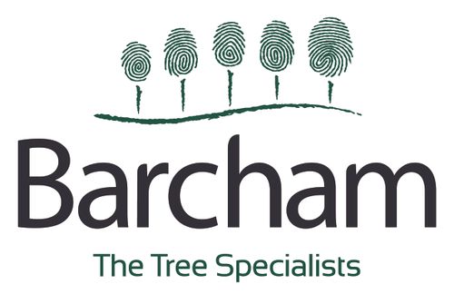 Barcham Trees