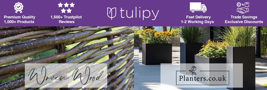 Tulipy Ltd