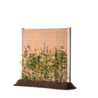Greenwall Cassette