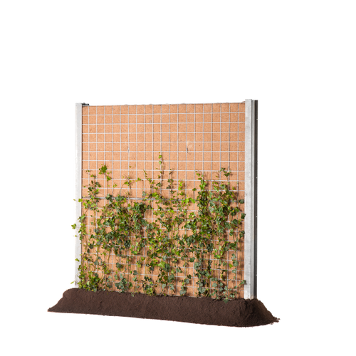 Greenwall Cassette