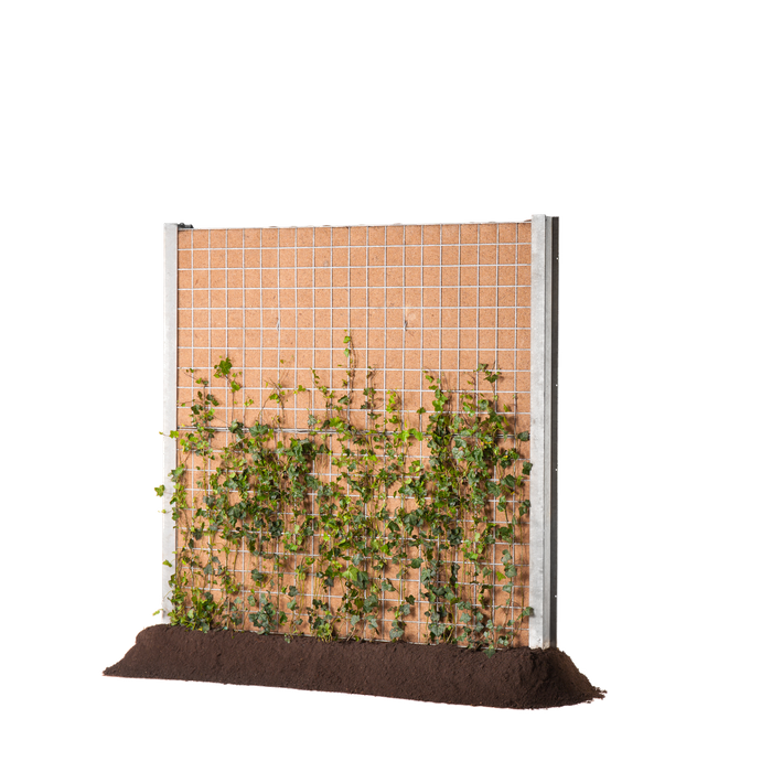Greenwall Cassette