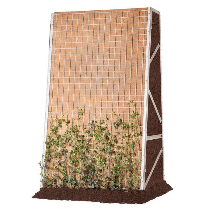 Greenwall Construct