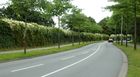 Greenwall Construct