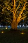 Private Manor House Estate Lighting