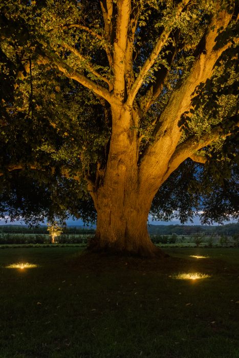 Private Manor House Estate Lighting